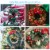 PATIKIL 10pcs Dream Catcher Rings, Metal Macrame Wreath Floral Round Ring Hoop Perspective: right