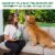 Greenies™ Chicken Flavor Immune Health Supplement Adult Dog Soft Chews Perspective: right
