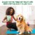 Greenies™ Hip & Joint Supplements For Adult Dogs Perspective: right
