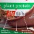 Premier Protein® Chocolate Plant-Based Protein Powder Perspective: right
