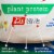 Premier Protein® Vanilla Plant-Based Protein Powder Perspective: right