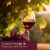 Tuscany™ Scented Jar Candle Triple Pour Vineyard Retreat Perspective: right