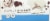 Power Crunch® Cookies and Creme Protein Energy Bar Perspective: right