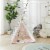 Wonder&Wise Indoor Baby Kids Foldable Activity Toy Teepee Play Tent w/ Llama Mat Perspective: right