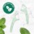 Plackers ™ Micro Mint Dental Flossers Perspective: right