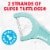 Plackers Twin-Line Dental Flossers Perspective: right
