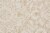 Feizy Belfort Modern Floral Paisley Area Rug - Latte Tan/Ivory Perspective: right
