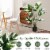 4FT Artificial Monstera Deliciosa Tree 2-Pack Fake Plant Faux Tree for Decor Perspective: right