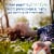 Garden of Life Raw Probiotics Colon Care, Digestive Enzymes, Once Daily Capsules, 50 Billion CFU Perspective: right
