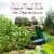 Garden of Life® Organics B-12 Raspberry Spray Perspective: right