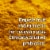 Garden of Life SPORT Organic Plant Based Protein to Help Build Muscle 30g Protein Powder Perspective: right