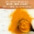 Garden of Life Organics Turmeric Inflammatory Response Gummy, Ginger, Real Fruit, Vegan Gummy Drops Perspective: right