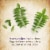 Garden of Life Organics Prenatal Multivitamin, Women's One a Day for Energy, Vegan Tablets Perspective: right