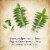 Garden of Life Organics Prenatal Multivitamin, Women's One a Day for Energy, Vegan Tablets Perspective: right