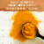 Garden of Lfe® Organics Extra Strength Turmeric Vegan Tablets Perspective: right