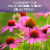 Garden of Life® Organics Plant-Based Elderberry Immune Syrup Perspective: right
