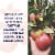 Garden of Life Organics Apple Cider Vinegar Vegan Gummies Original Perspective: right