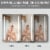 ExBrite 40  W x 30  H LED Bathroom Medicine Cabinet Surface Mount Double Door Lighted Perspective: right