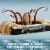 LEGO® Desert Skiff & Sarlacc Pit Perspective: right