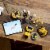 LEGO® Icons Transformers Bumblebee Collectible Building Set Perspective: right
