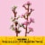 LEGO® Cherry Blossoms 40725 Building Set Perspective: right