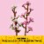 LEGO® Cherry Blossoms 40725 Building Set Perspective: right
