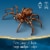LEGO® Harry Potter Aragog In The Forbidden Forest™ 76434 Perspective: right