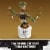 LEGO® Marvel Dancing Groot 76297 Perspective: right