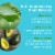 Hempz Original Floral Banana Herbal Shampoo with Vegan Biotin & Aloe Vera for All Hair Types Perspective: right