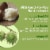 Hempz Triple Moisture Fresh Citrus Multi-Purpose Herbal Body Oil Perspective: right