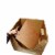 Cats Desire Disposable Biodegradable Top-Side Entry Litter Boxes Perspective: right