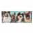 Set of 2 Keepsakes 500 Piece Jigsaw Puzzles | Dogs Having Fun Perspective: right