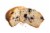 Daisy's Blueberry Muffin Perspective: right