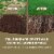 MVS® Lawn Repair Kit Sun & Shade- 5Lb Perspective: right