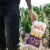Boulder Canyon® Malt Vinegar & Sea Salt Kettle Style Potato Chips Perspective: right