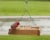 Woodlink Audubon Series 3 in 1 Platform Feeder Perspective: right