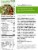 EatingWell Creamy Pesto Chicken Frozen Meal Perspective: right