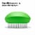 SoftWorks OXO Vegetable Brush - Green Perspective: right