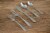 Cambridge Silversmiths Greenpond Flatware Set - Mirror Perspective: right