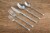 Cambridge Silversmiths Seyon Flatware Set - Mirror Perspective: right