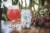 Odell Brewing Sippin Pretty Fruited Sour Ale Perspective: right