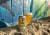 Odell Brewing Wire Walker West Coast Double IPA Craft Beer Perspective: right