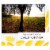 J Vineyards Pinot Gris White Wine Perspective: right