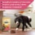 Nature's Recipe® Grain Free Adult Dry Dog Food Salmon, Sweet Potato & Pumpkin Perspective: right
