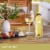 JUSTIN Sauvignon Blanc Central Coast White Wine Perspective: right