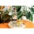 Avion Silver Tequila Perspective: right