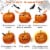 13Pcs Halloween Pumpkin Carving Kit Stainless Steel Carving Kit Pumpkin Sculpting Cutting Kit Perspective: right