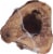 Butcher's Prime Champ Dog Bone Perspective: right