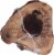 Butcher Shoppe The Champ Hickory Smoked Beef Dog Bone Perspective: right
