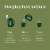 The Republic of Tea Double Green Matcha Tea Bags Perspective: right
